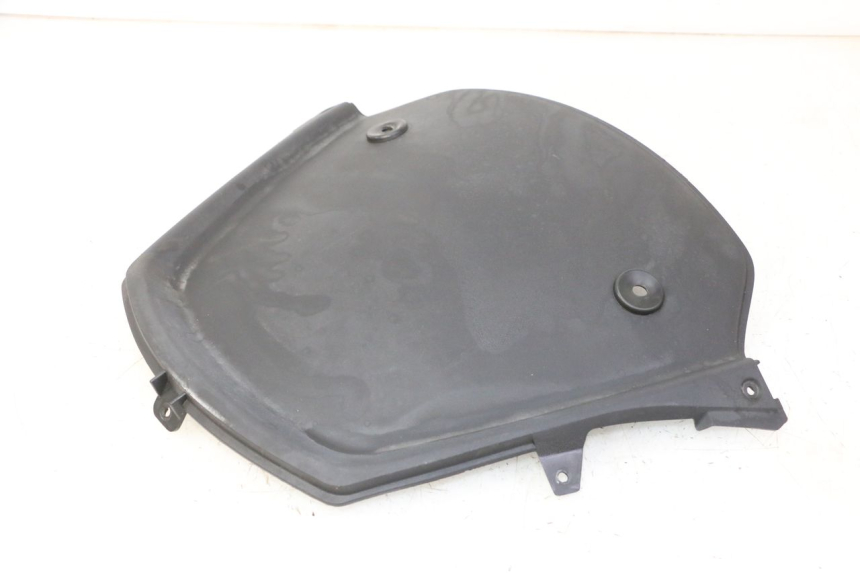 photo de CARA DELANTERA INTERIOR PIAGGIO MP3 RL 250 (2007 - 2010)