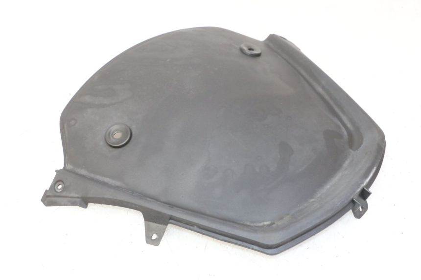 photo de CARA DELANTERA INTERIOR PIAGGIO MP3 RL 250 (2007 - 2010)