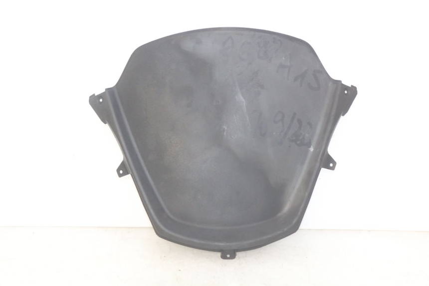 photo de CARA DELANTERA INTERIOR PIAGGIO MP3 RL 250 (2007 - 2010)