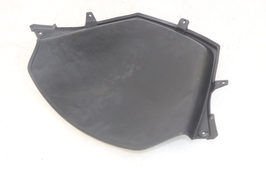 photo de CARA DELANTERA INTERIOR PIAGGIO MP3 RL 250 (2007 - 2010)