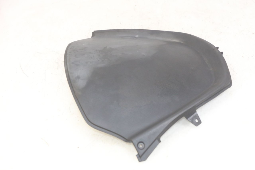 photo de CARA DELANTERA INTERIOR PIAGGIO MP3 RL 250 (2007 - 2010)