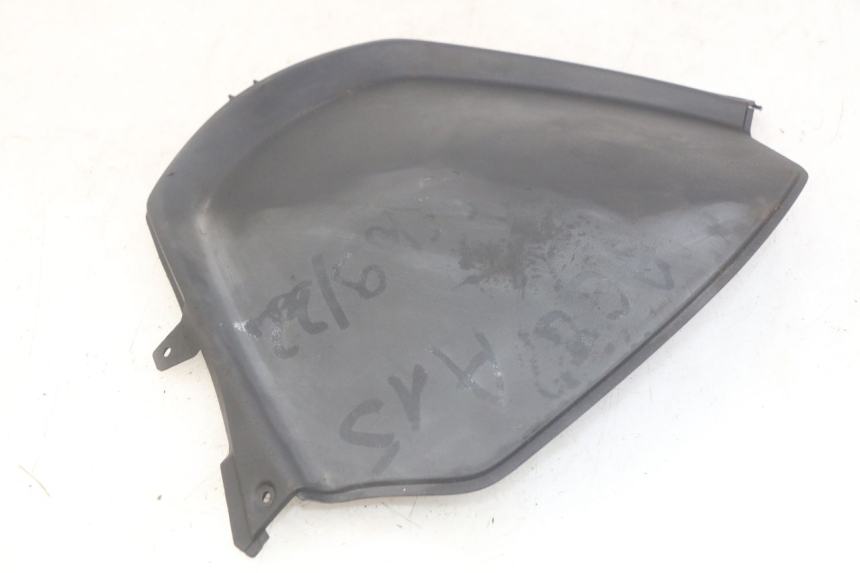 photo de CARA DELANTERA INTERIOR PIAGGIO MP3 RL 250 (2007 - 2010)