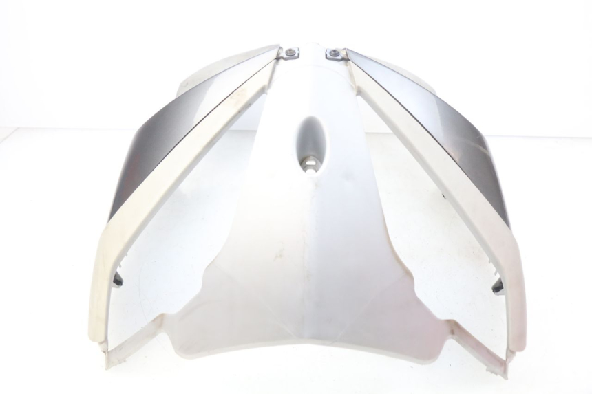 photo de FRENTE. PEUGEOT GEOPOLIS 400 (2007 - 2013)
