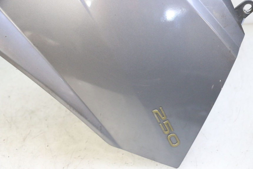 photo de CARENADO FRONTAL PEUGEOT SATELIS 250 (2006 - 2012)
