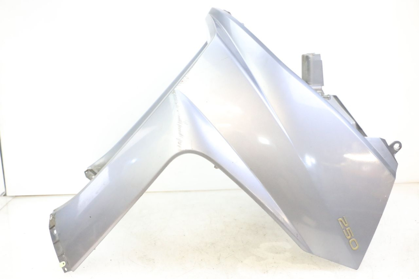 photo de CARENADO FRONTAL PEUGEOT SATELIS 250 (2006 - 2012)