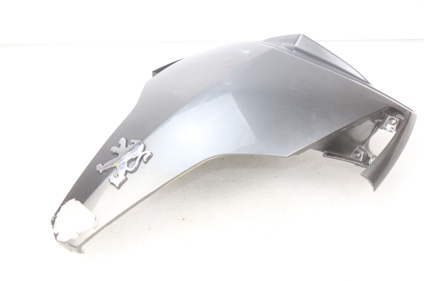 photo de FRENTE SUPERIOR PEUGEOT GEOPOLIS 400 (2007 - 2013)