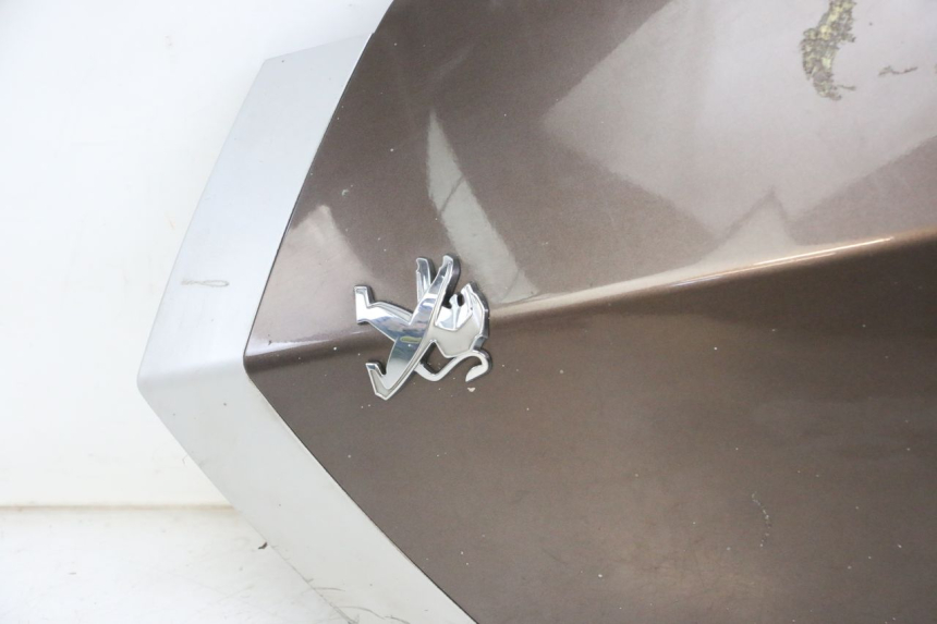 photo de CARENADO FRONTAL SUPERIOR PEUGEOT VIVACITY 125 (2010 - 2017)