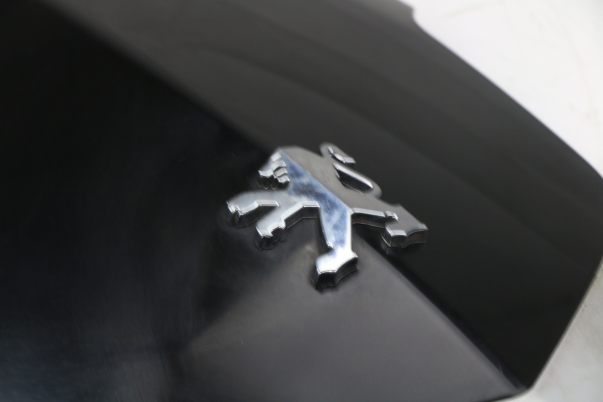 photo de FRENTE SUPERIOR PEUGEOT VIVACITY NEW 4T 50 (2008 - 2017)