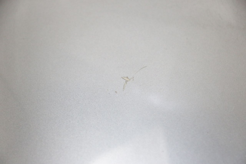 photo de CARCASA DELANTERA SUPERIOR EFUN PUSA 1 - Estado de la superficie y material