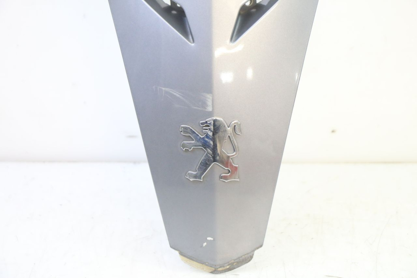 photo de CARENADO FRONTAL SUPERIOR PEUGEOT SATELIS 250 (2006 - 2012)