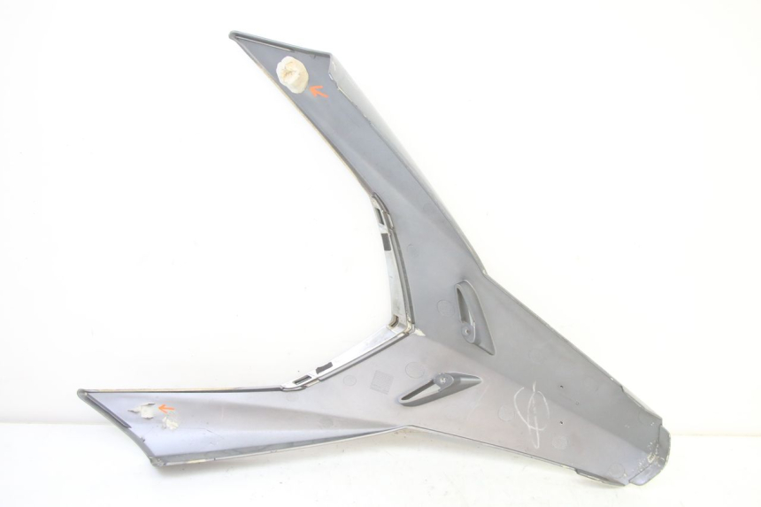 photo de CARENADO FRONTAL SUPERIOR PEUGEOT SATELIS 250 (2006 - 2012)