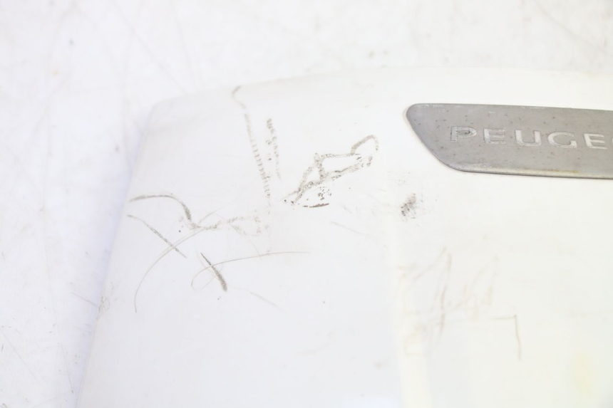 photo de CARENADO FRONTAL SUPERIOR PEUGEOT TWEET PRO EFI 4T 50 (2021 - 2022)