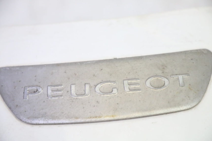 photo de CARENADO FRONTAL SUPERIOR PEUGEOT TWEET PRO EFI 4T 50 (2021 - 2022)