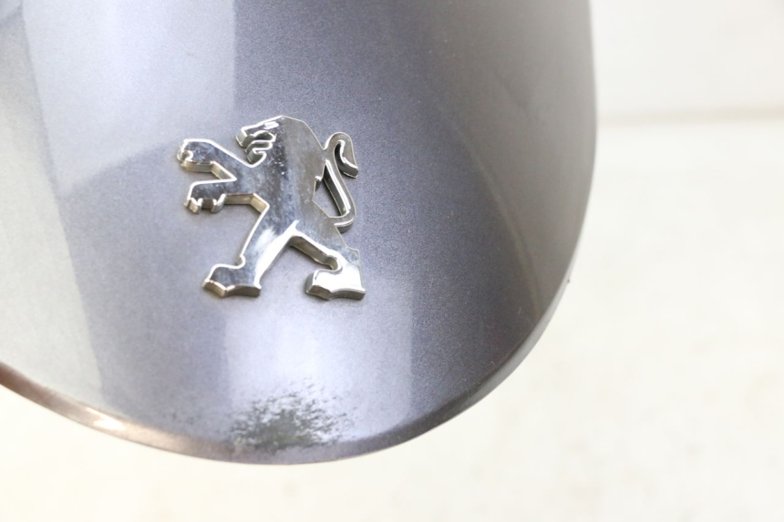 photo de FRENTE SUPERIOR PEUGEOT V-CLIC VCLIC 50 (2007 - 2013)