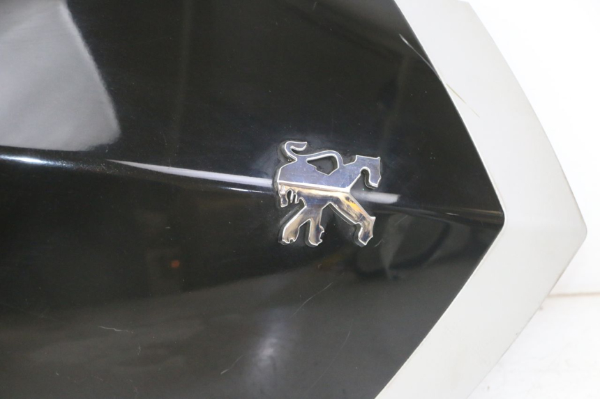 photo de FRENTE SUPERIOR PEUGEOT VIVACITY NEW 2T 50 (2008 - 2017)
