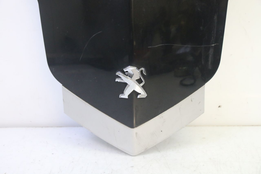 photo de FRENTE SUPERIOR PEUGEOT VIVACITY NEW 4T 50 (2008 - 2017)