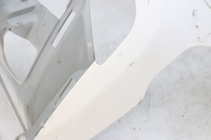 photo de CARENADO FRONTAL PEUGEOT TWEET PRO EFI 4T 50 (2021 - 2022)