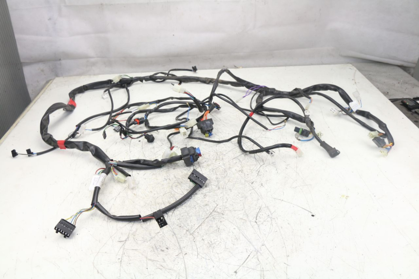 photo de CABLEADO APRILIA ATLANTIC S 125 (2010 - 2013)