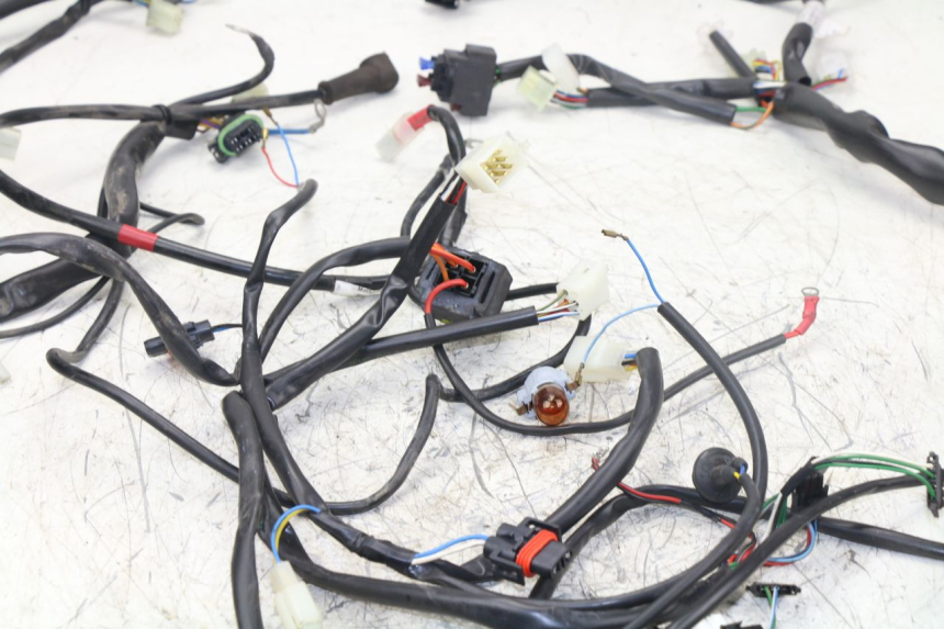 photo de CABLEADO APRILIA ATLANTIC S 125 (2010 - 2013)