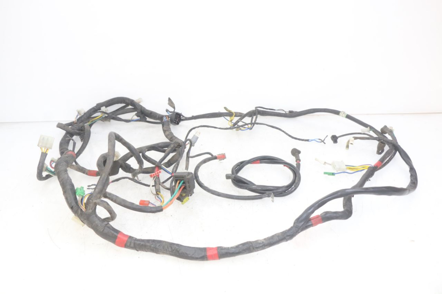 photo de CABLEADO APRILIA SCARABEO LIGHT 125 (2007 - 2011)