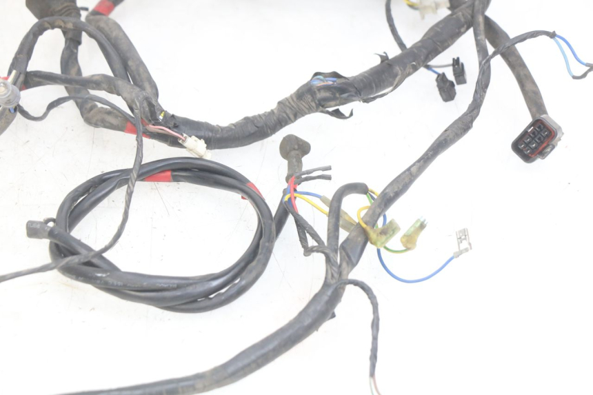 photo de CABLEADO APRILIA SCARABEO LIGHT 125 (2007 - 2011)