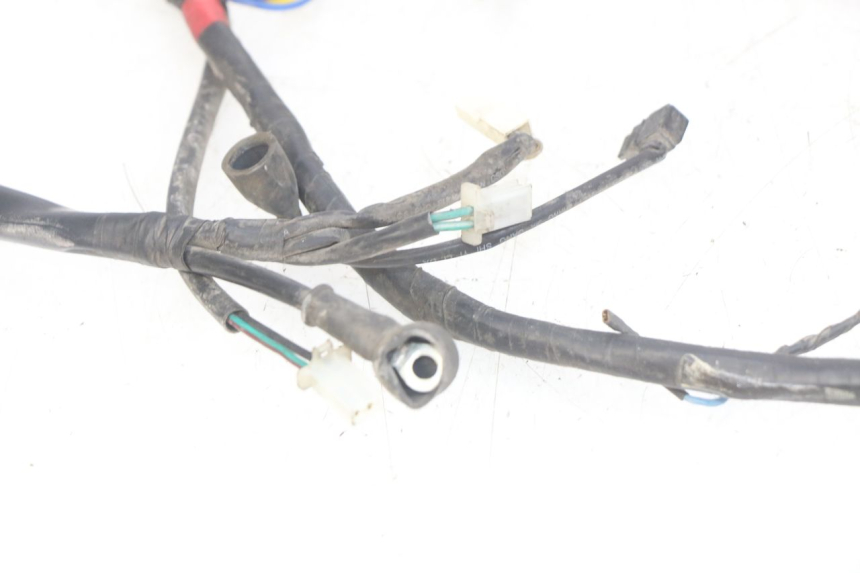 photo de CABLEADO APRILIA SCARABEO LIGHT 125 (2007 - 2011)