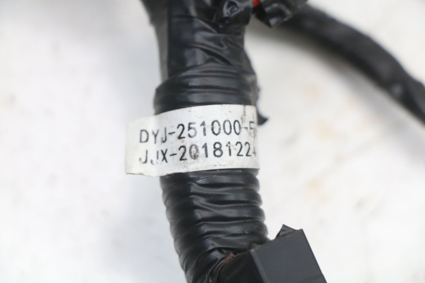 photo de CABLEADO ARCHIVE CAFE RACER 4T 50 (2019 - 2024)