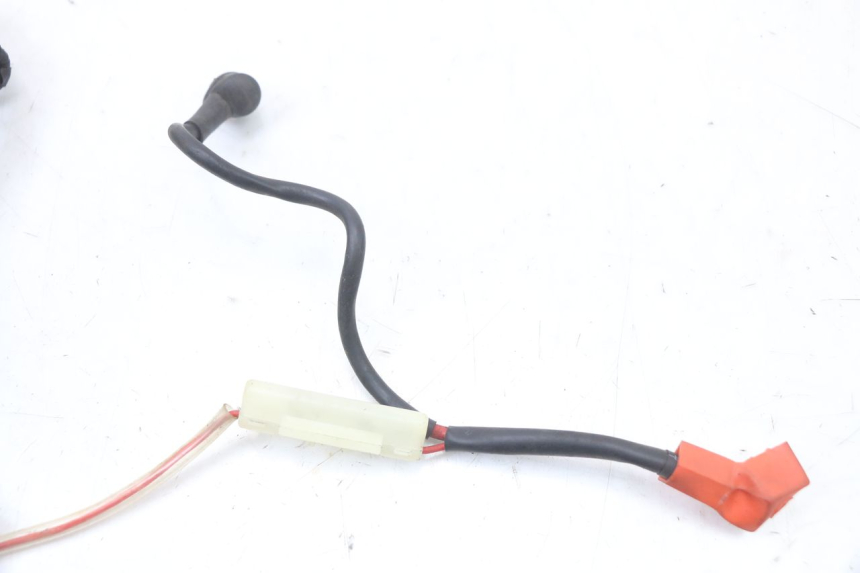 photo de CABLEADO ARCHIVE CAFE RACER 4T 50 (2019 - 2024)