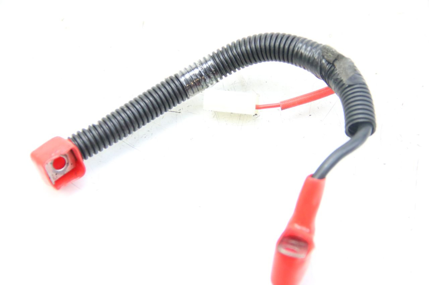 photo de CABLEADO DE LA BATERíA SYM ORBIT III 3 4T 50 (2018 - 2021)