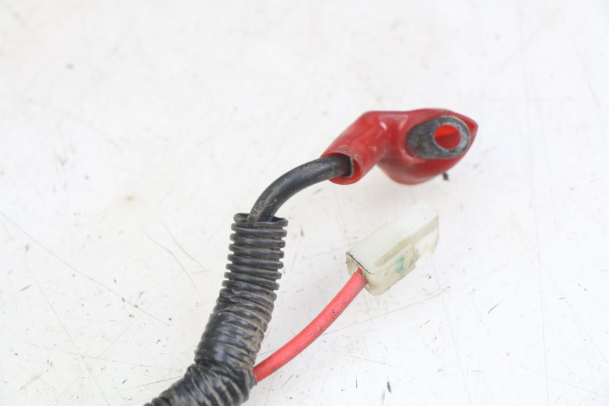 photo de CABLEADO DE LA BATERíA SYM ORBIT III 3 4T 50 (2018 - 2021)