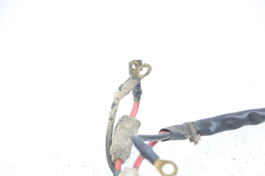 photo de CABLEADO DE LA BATERíA PIAGGIO TYPHOON 80 (1994 - 1997)