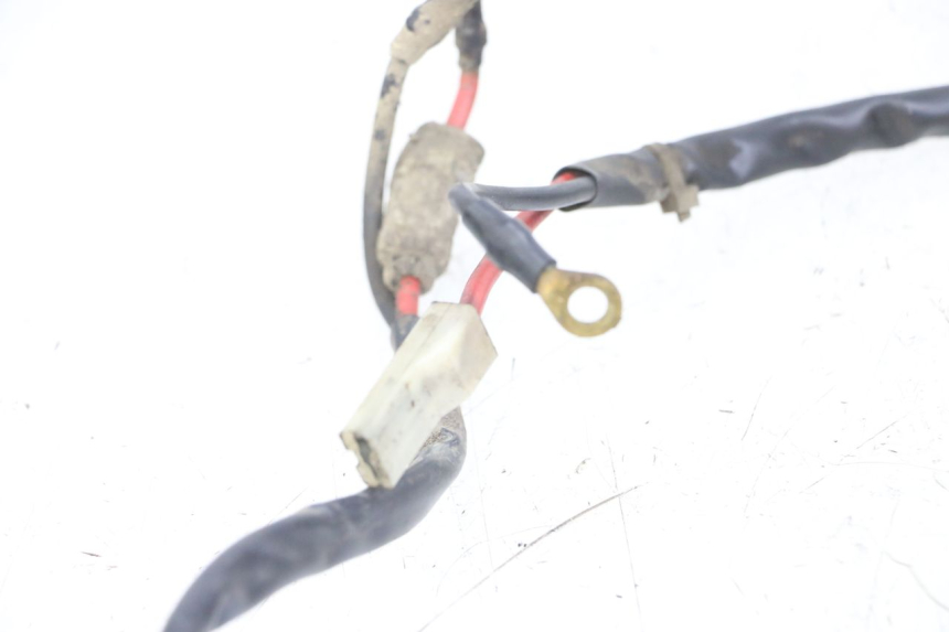 photo de CABLEADO DE LA BATERíA PIAGGIO TYPHOON 80 (1994 - 1997)