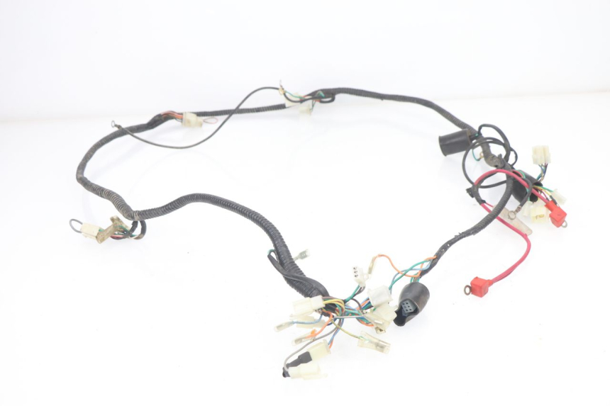 photo de CABLEADO BHM WACO 4T 50 (2008 - 2015)