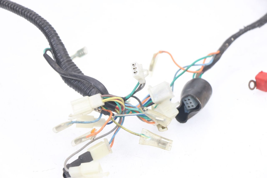 photo de CABLEADO BHM WACO 4T 50 (2008 - 2015)