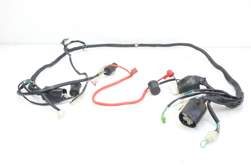 photo de CABLEADO WILDLANDER BISCUIT 125 (2004 - 2010)