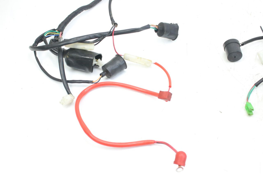 photo de CABLEADO WILDLANDER BISCUIT 125 (2004 - 2010)