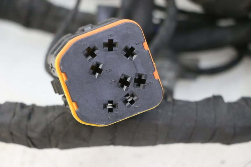 photo de CABLEADO BMW C SPORT 650 (2015 - 2021)