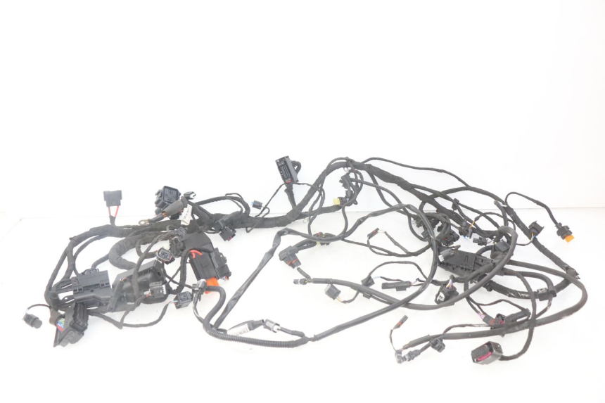 photo de CABLEADO BMW F GS K81 850 (2018 - 2023)