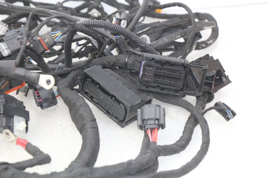 photo de CABLEADO BMW F GS K81 850 (2018 - 2023)