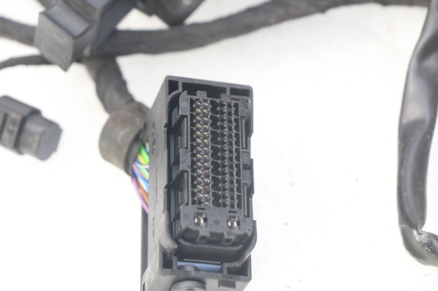 photo de CABLEADO BMW F GS K81 850 (2018 - 2023)