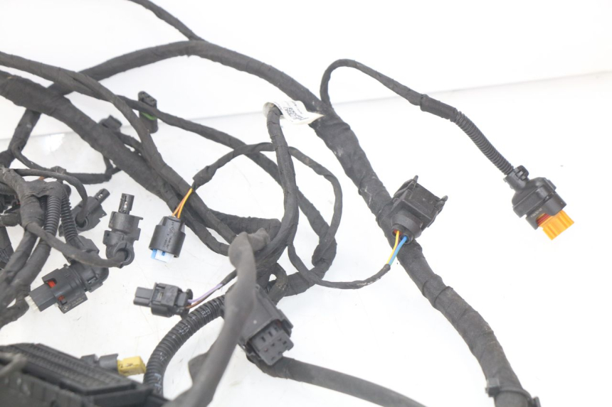photo de CABLEADO BMW F GS K81 850 (2018 - 2023)