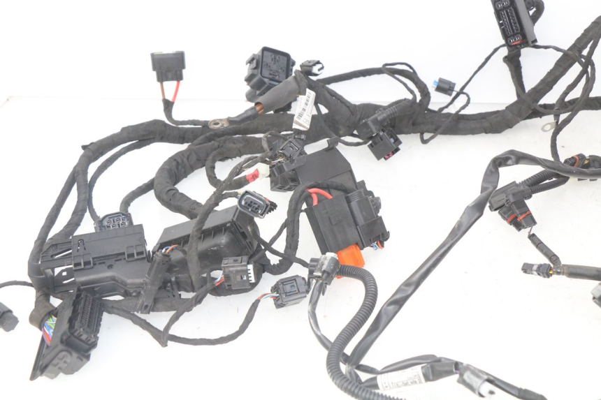 photo de CABLEADO BMW F GS K81 850 (2018 - 2023)
