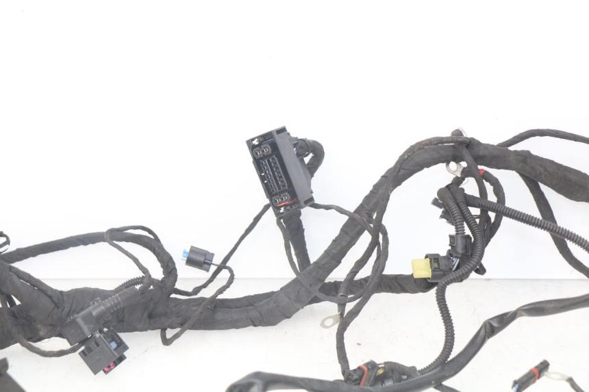 photo de CABLEADO BMW F GS K81 850 (2018 - 2023)