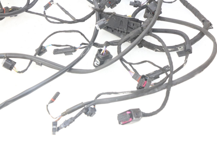 photo de CABLEADO BMW F GS K81 850 (2018 - 2023)