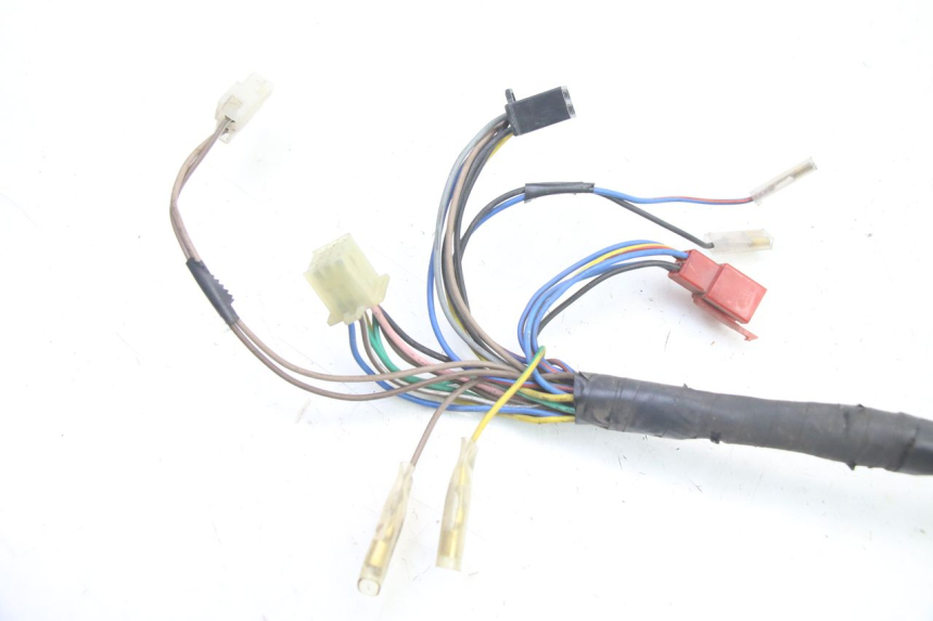 photo de CABLEADO MBK BOOSTER NEXT GENERATION 50 (1995 - 1998)
