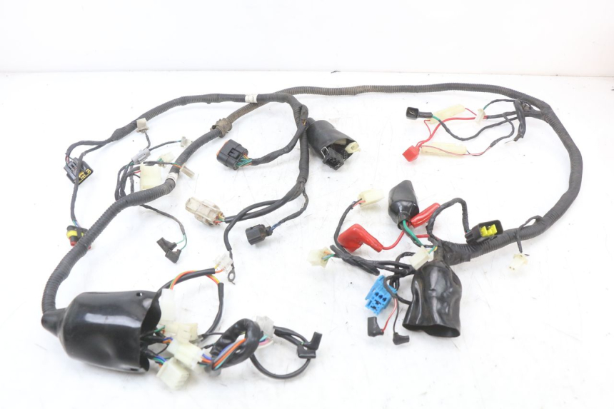 photo de CABLEADO TNT MOTOR BOSTON 4T 50 (2018 - 2025)