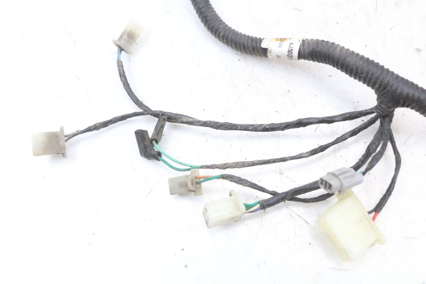 photo de CABLEADO TNT MOTOR BOSTON 4T 50 (2018 - 2025)