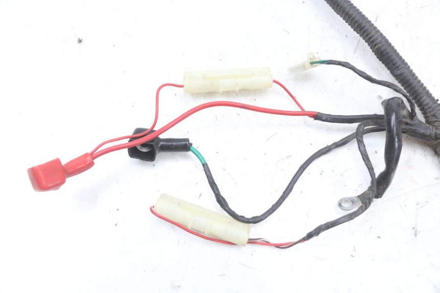 photo de CABLEADO TNT MOTOR BOSTON 4T 50 (2018 - 2025)