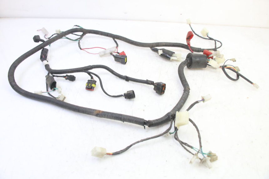 photo de CABLEADO TNT MOTOR BOSTON 4T 50 (2018 - 2025)