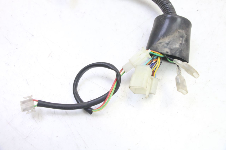 photo de CABLEADO TNT MOTOR BOSTON 4T 50 (2018 - 2025)